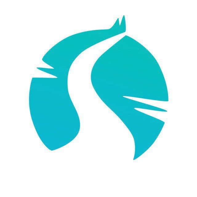 Сталкер-Медиа логотип